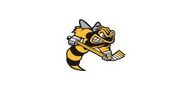 Sarnia Sting