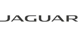 Birchwood Jaguar