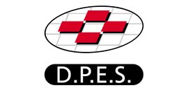 DP Environmental Service