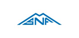 Swiss NF Inc