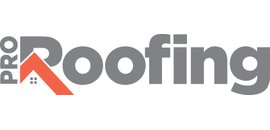 Pro Roofing