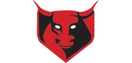 Taurus Stampings Inc.