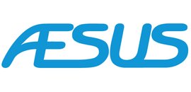 Aesus Systems Inc