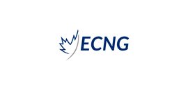 ECNG Limited Partnership