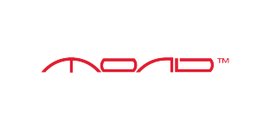 Connectglobalone Management Inc