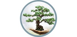 Groupe M.Bacal Group -