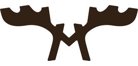 Moose Winooski s