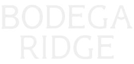 Bodega Ridge