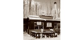 Sandy Flat Sugar Bush