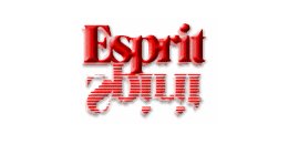 Esprit International Communications