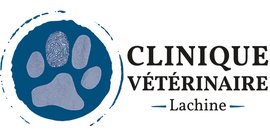Clinique V
