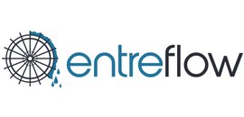 Entreflow Consulting Group
