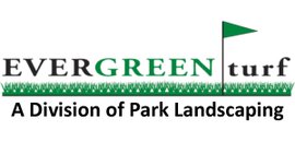 Evergreen Turf