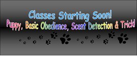 Quinte Canine