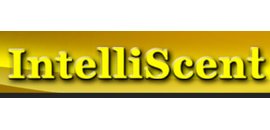 Intelliscent Corp