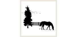 canmore farms