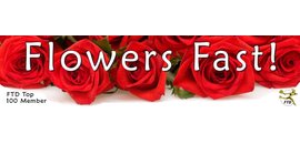 Flowers Fast