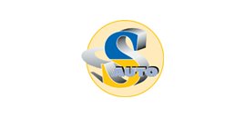 Swedish Leasing & Sales Inc.
