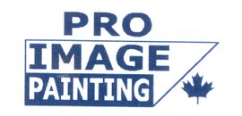 Pro Image Painting