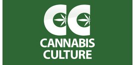Cannabis Culture
