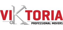 Viktoria Professional Services