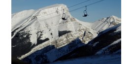 Mueller Lifts Services Inc.