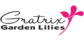 Gratrix Garden Lilies