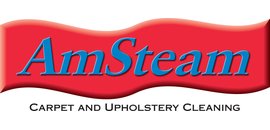 AmSteam Services