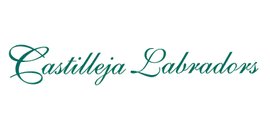 Castilleja Labs