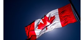 Borden Ladner Gervais LLP