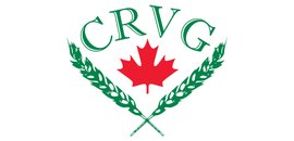 Crvg Inc