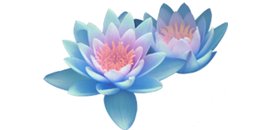 Foley's Massage Therapy & Family Karate