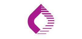 Syneron Inc