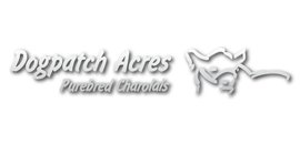 Dog Patch Acres