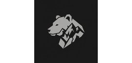Champion Bear Resources Ltd.