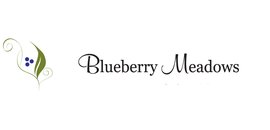 Blueberry Meadow Interiors