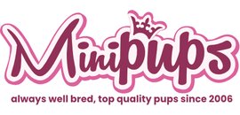 Mini Pups