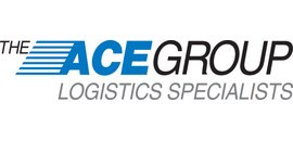The Ace Group Inc.