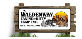 Waldenway Canine Camp