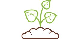 Ballast Environmental Consulting Ltd.