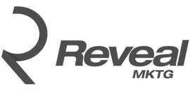 REVEAL Marketing Group Inc