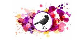 The Crow's Nest Artist Collective
