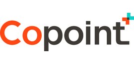 Technology Strategies Group Inc