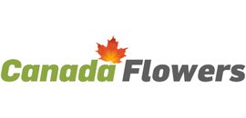 Canada Roses