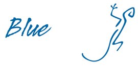 Blue Lizard Productions