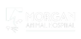 Morgan Animal Hospital