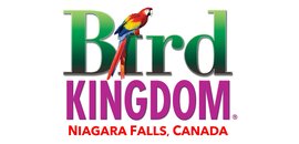 Bird Kingdom