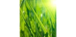 GreensKeeper Asset Management Inc.