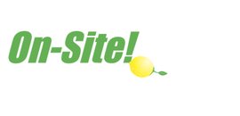 On-Site Computer Cleaning Services