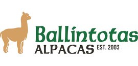 Ballintotas Alpacas
